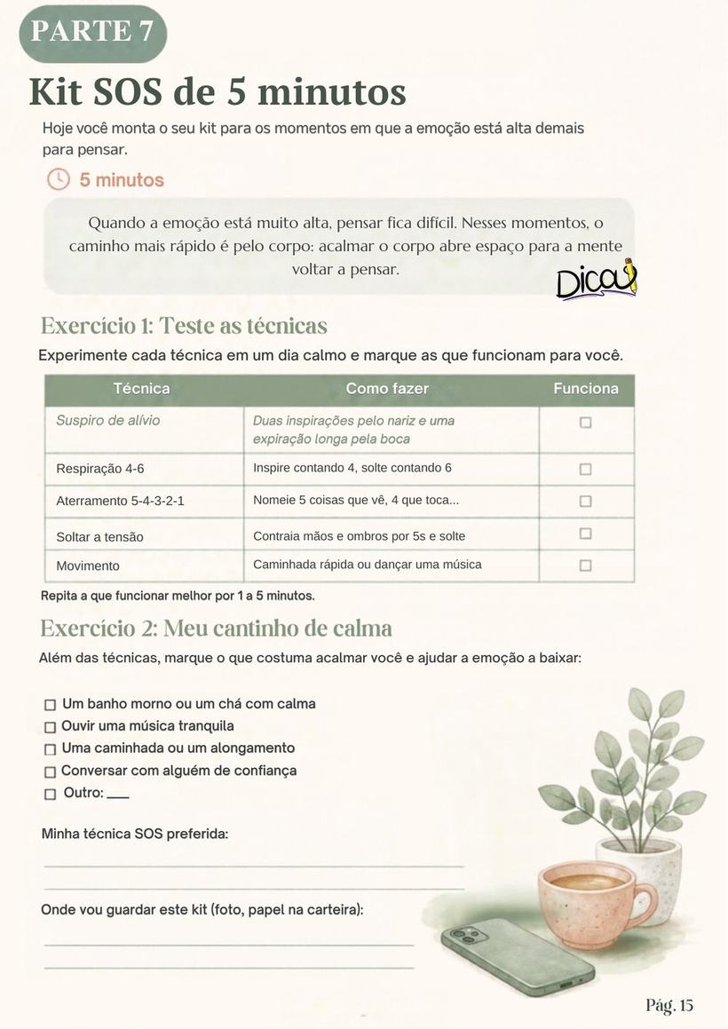 Página do e-book: Parte 7, Kit SOS de 5 minutos